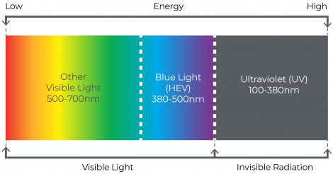 blutect plus light